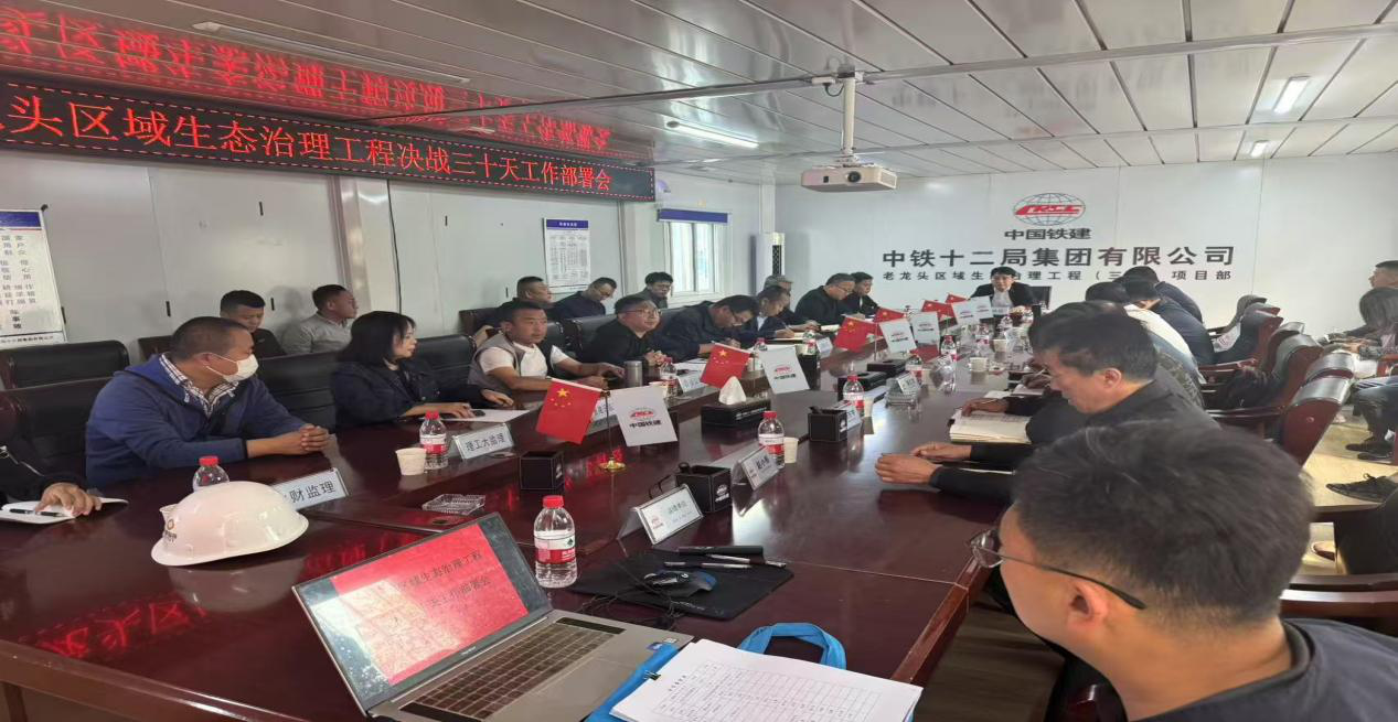 老龙头区域生态治理工程决战三十天工作部署会暨城运支部“党员突击队” 成立授旗仪式顺利举行